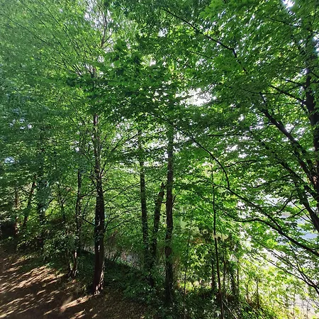 Appartement Einladend Graz