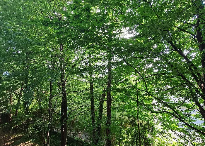 Appartamento Einladend Graz